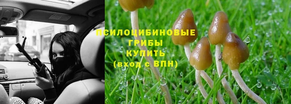 гидропоника Россошь