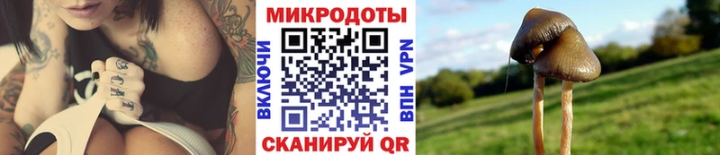 Псилоцибиновые грибы ЛСД Удачный